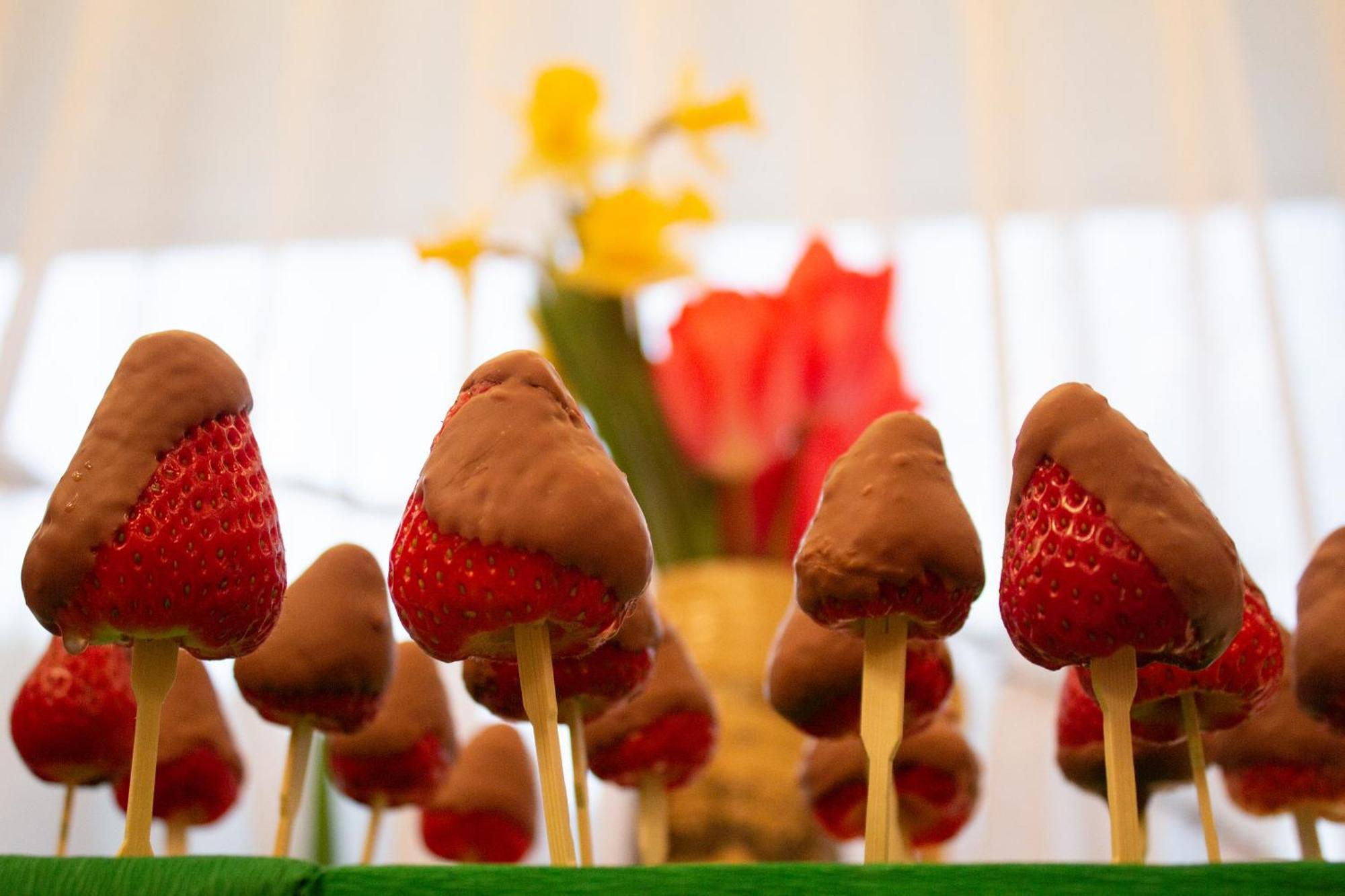 Garden Apartments Jansa ラドヴリツァ エクステリア 写真