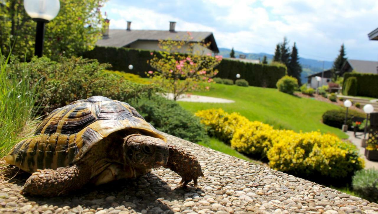 Garden Apartments Jansa ラドヴリツァ エクステリア 写真